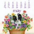 Load image into Gallery viewer, 2027 Desktop Calendar - 5 x 7 - Dog Days
