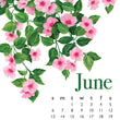 Load image into Gallery viewer, 2027 Desktop Calendar - 5 x 7 - Flowers
