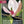 Load image into Gallery viewer, 2026 Poster Calendar - 11 x 14 - Linnea Design

