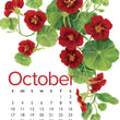 Load image into Gallery viewer, 2027 Desktop Calendar - 5 x 7 - Flowers
