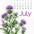 Load image into Gallery viewer, 2027 Desktop Calendar - 5 x 7 - Flowers
