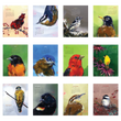 Load image into Gallery viewer, 2027 Poster Calendar - 11 x 14 - Art by Alyssa - Bird
