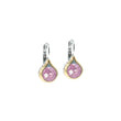 Load image into Gallery viewer, Oval Link Collection - French Wire Earrings
