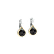 Load image into Gallery viewer, Oval Link Collection - French Wire Earrings
