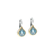 Load image into Gallery viewer, Oval Link Collection - French Wire Earrings
