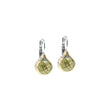 Load image into Gallery viewer, Oval Link Collection - French Wire Earrings
