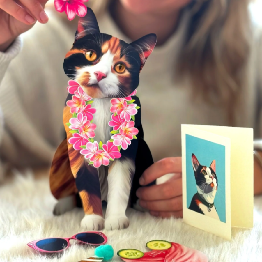 Calico Cat - Pop Up Pet