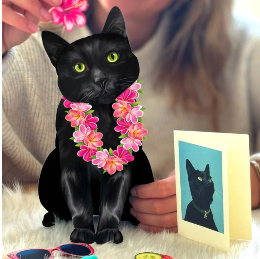 Black Cat - Pop Up Pet