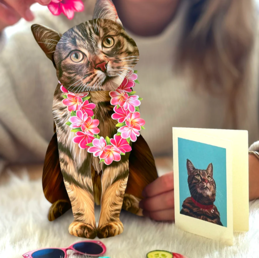 Brown Tabby Cat - Pop Up Pet