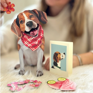 Beagle - Pop Up Pet