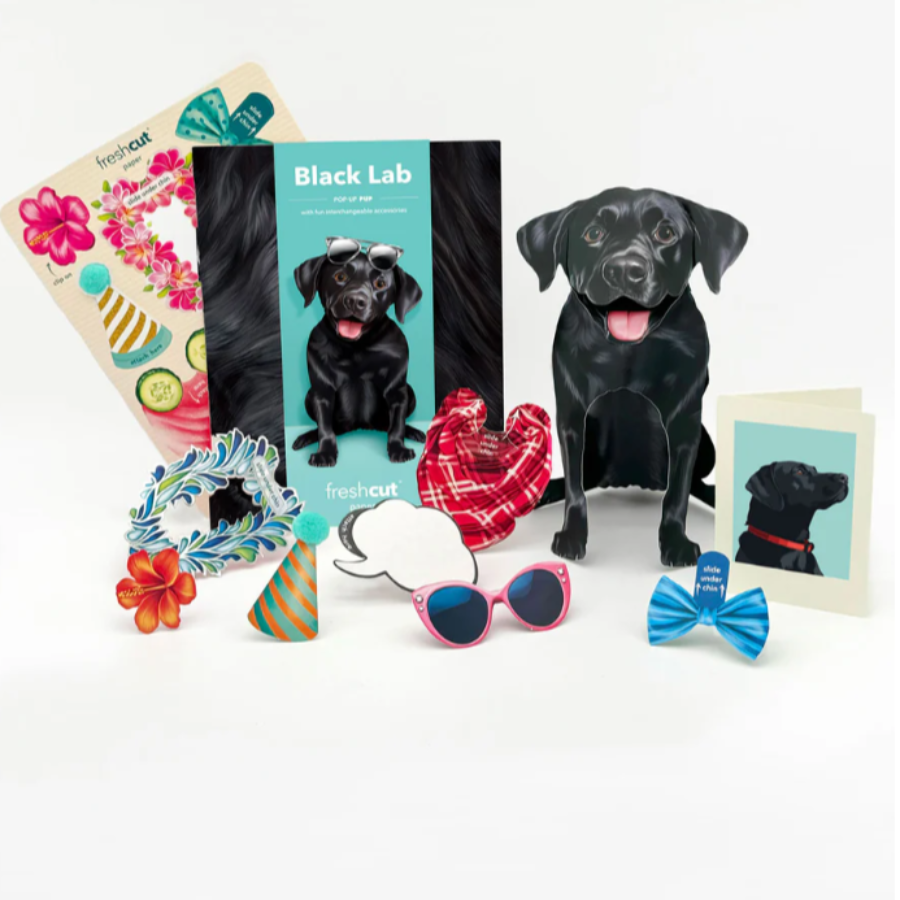 Black Lab - Pop Up Pet