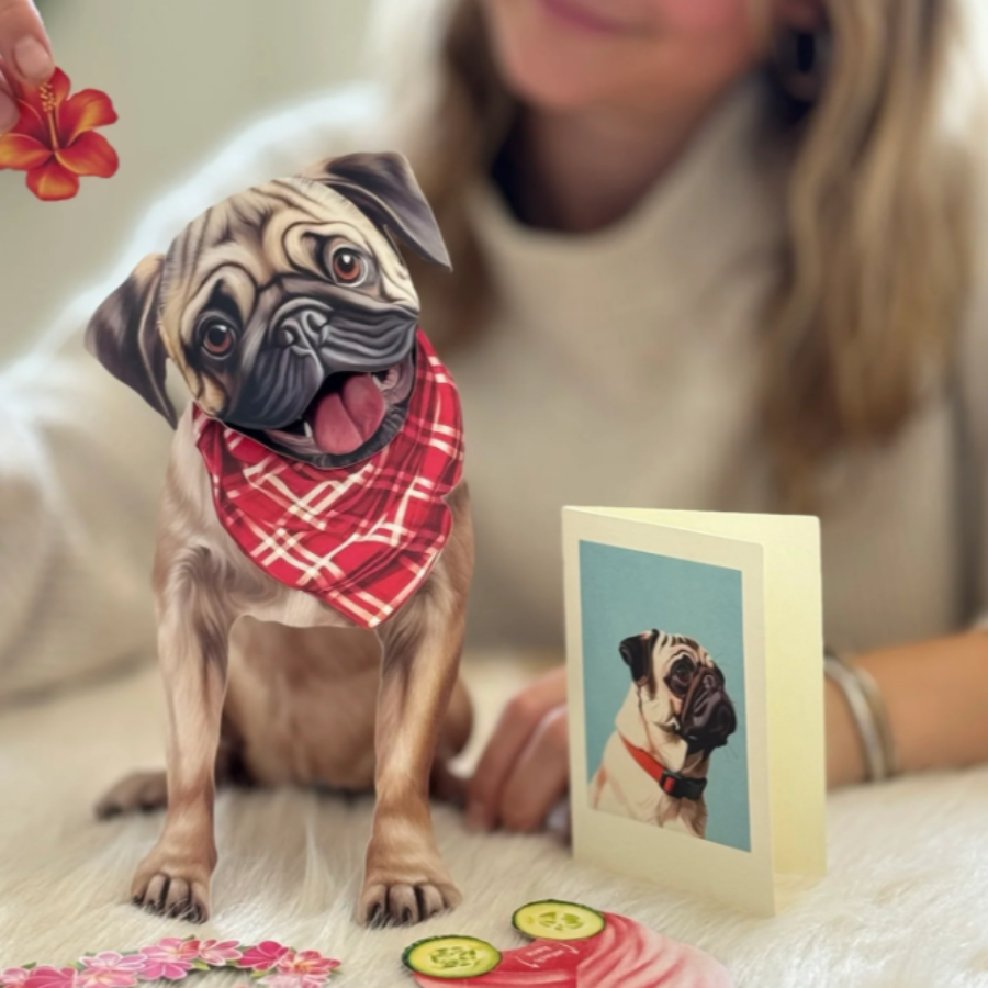 Pug - Pop Up Pet