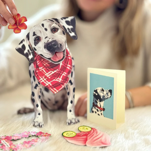 Dalmation - Pop Up Pet