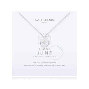 A Little Birthstone Necklace-June