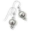 Load image into Gallery viewer, Pretty Tough Stud French Wire Earrings
