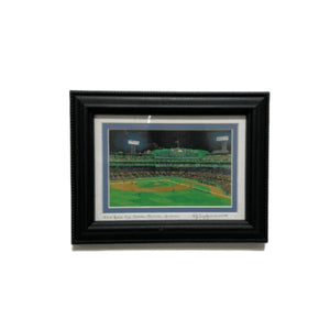 Framed Print - View from the Green Monster - 5" x 7" - Black Frame