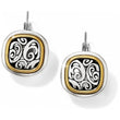 Load image into Gallery viewer, Spin Master Leverback Earrings
