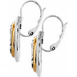 Load image into Gallery viewer, Spin Master Leverback Earrings
