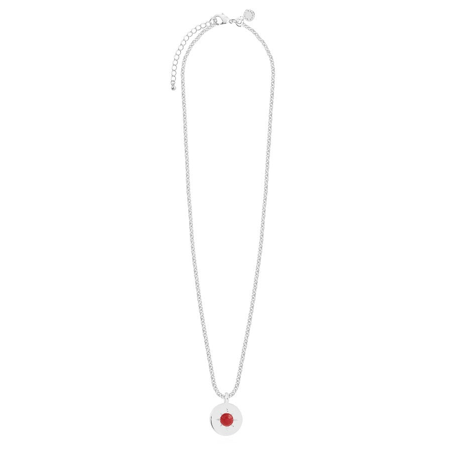 A Little Birthstone Necklace-January