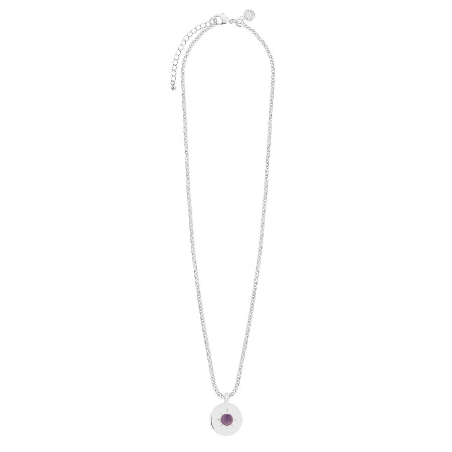 A Little Birthstone Necklace-February