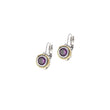 Load image into Gallery viewer, Beijos CZ Bezel Set Earrings - 6MM
