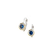 Load image into Gallery viewer, Beijos CZ Bezel Set Earrings - 6MM
