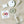 Load image into Gallery viewer, Fermented Hot Sauce Making Kit
