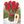Load image into Gallery viewer, Red Roses - Freshcut Paper
