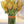 Load image into Gallery viewer, Yellow Tulips - Freshcut Paper
