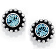 Load image into Gallery viewer, Twinkle Mini Post Earrings-March

